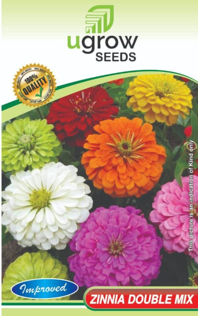 Zinnia Seeds